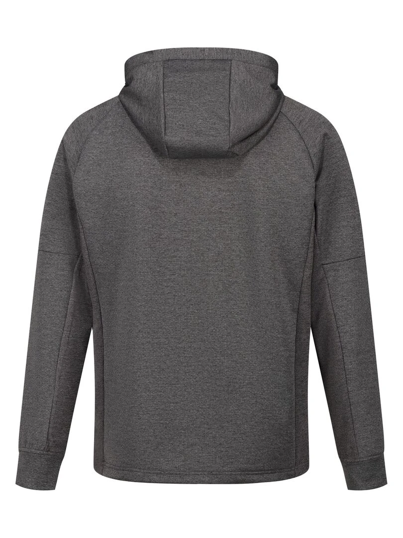 Regatta Sweat à capuche MAGNUSON Gris foncé