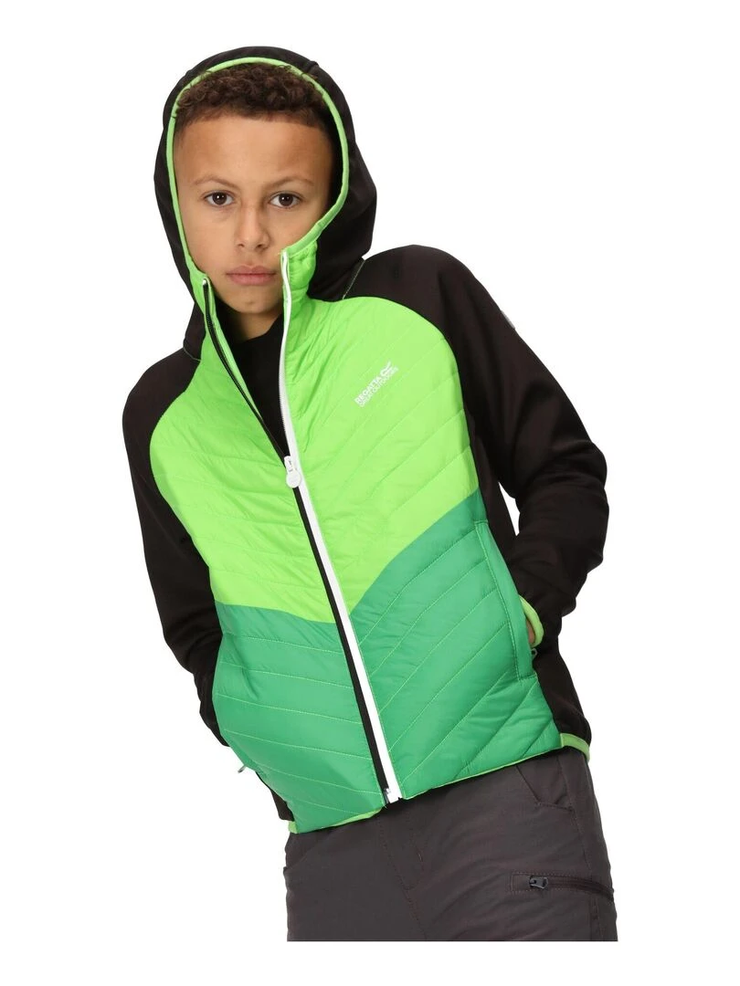 Regatta   Veste matelassée KIELDER HYBRID   Noir Vert