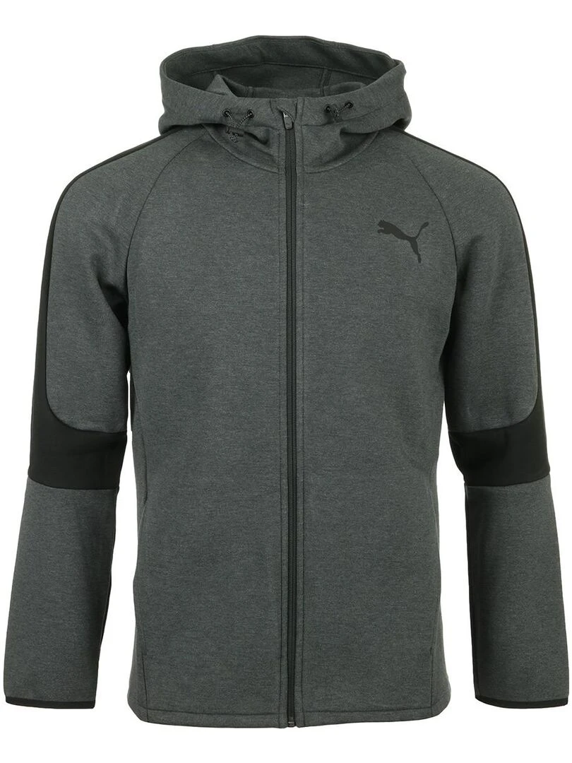 Sweat Evostripe Core Fz Hoodie Gris