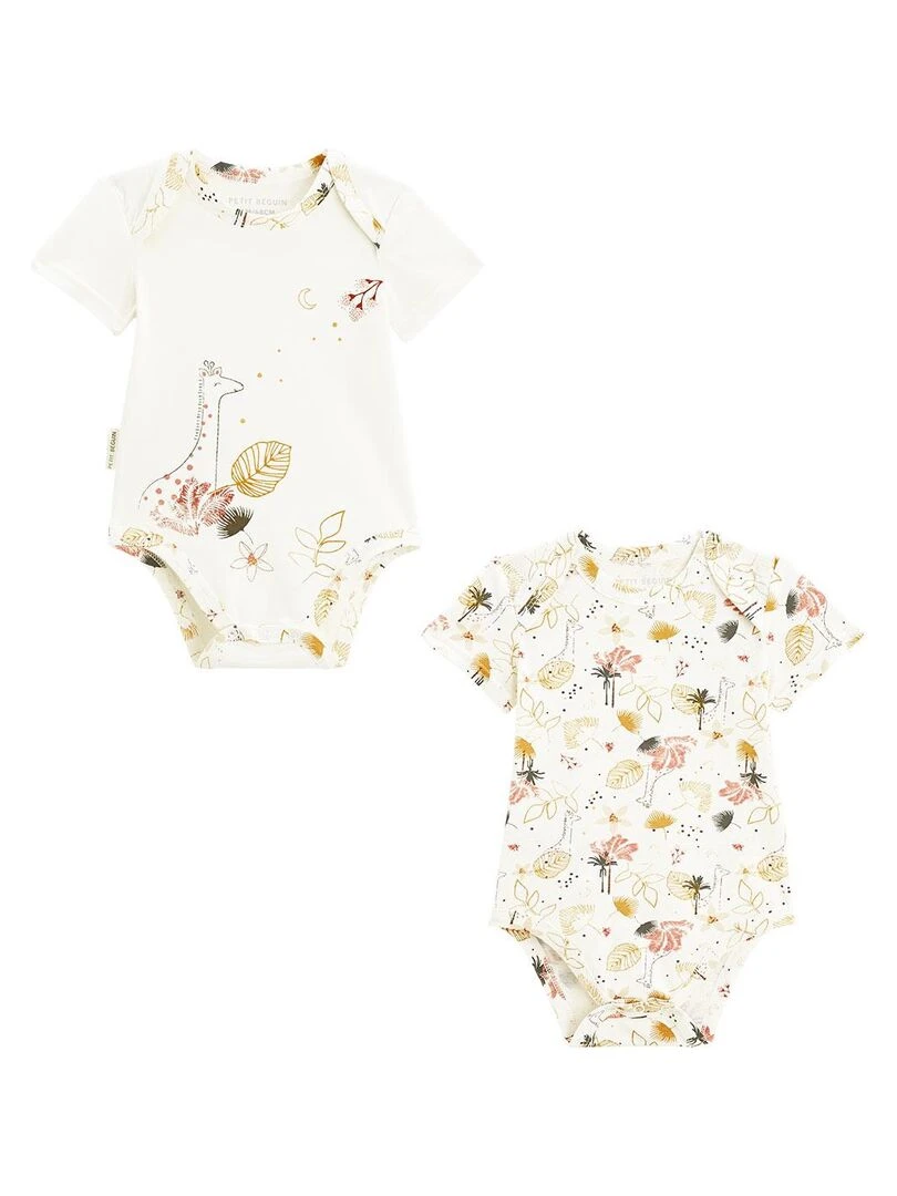 Lot de 2 bodies bébé manches courtes Sahara Ecru