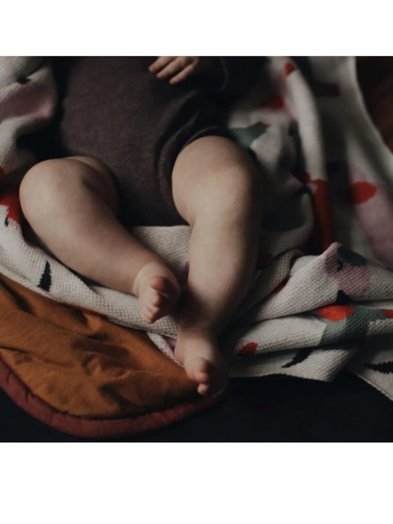 Couverture pour bébé   Teckel   Bleu