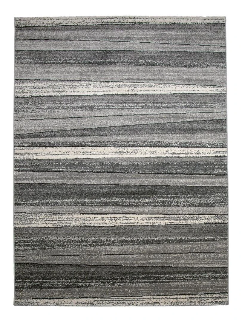 Tapis salon LIGNARAI Gris
