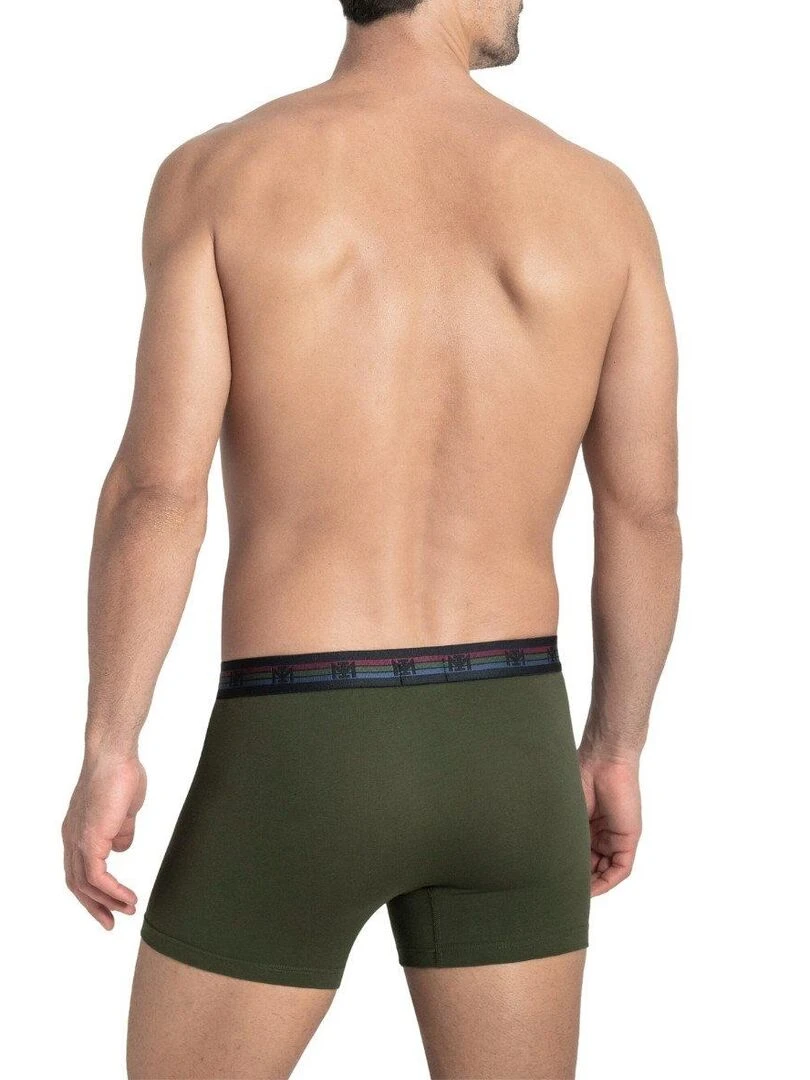 Lot de 2 boxers en coton Haruto   Vert