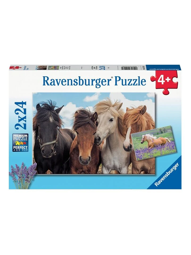 2x24p L'amour Des Chevaux N/A