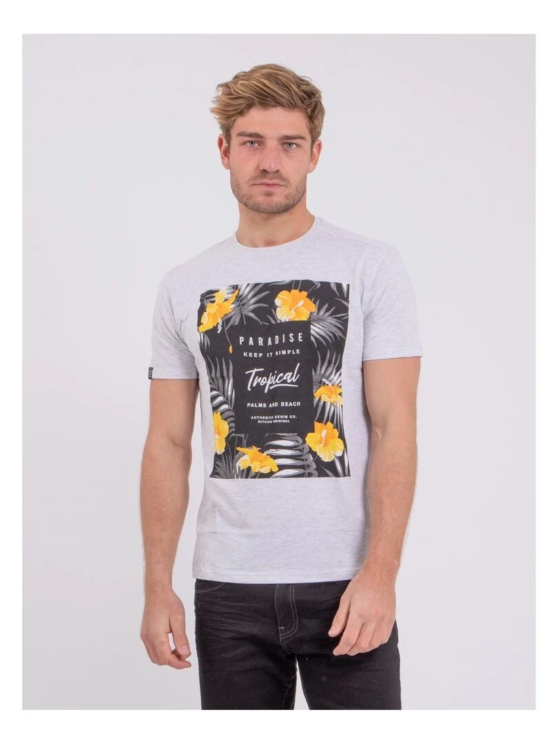 T shirt manches courtes col rond pur coton NOCTAVIO Gris