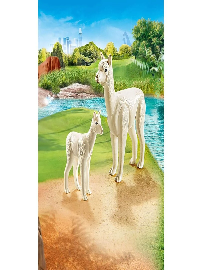 Alpaga et son petit   N/A