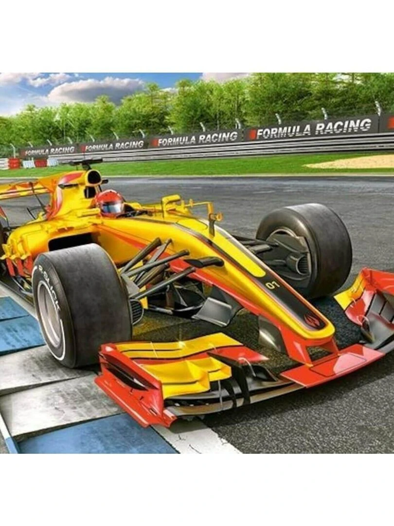 Puzzle 300 pièces : Bolide de course sur piste N/A