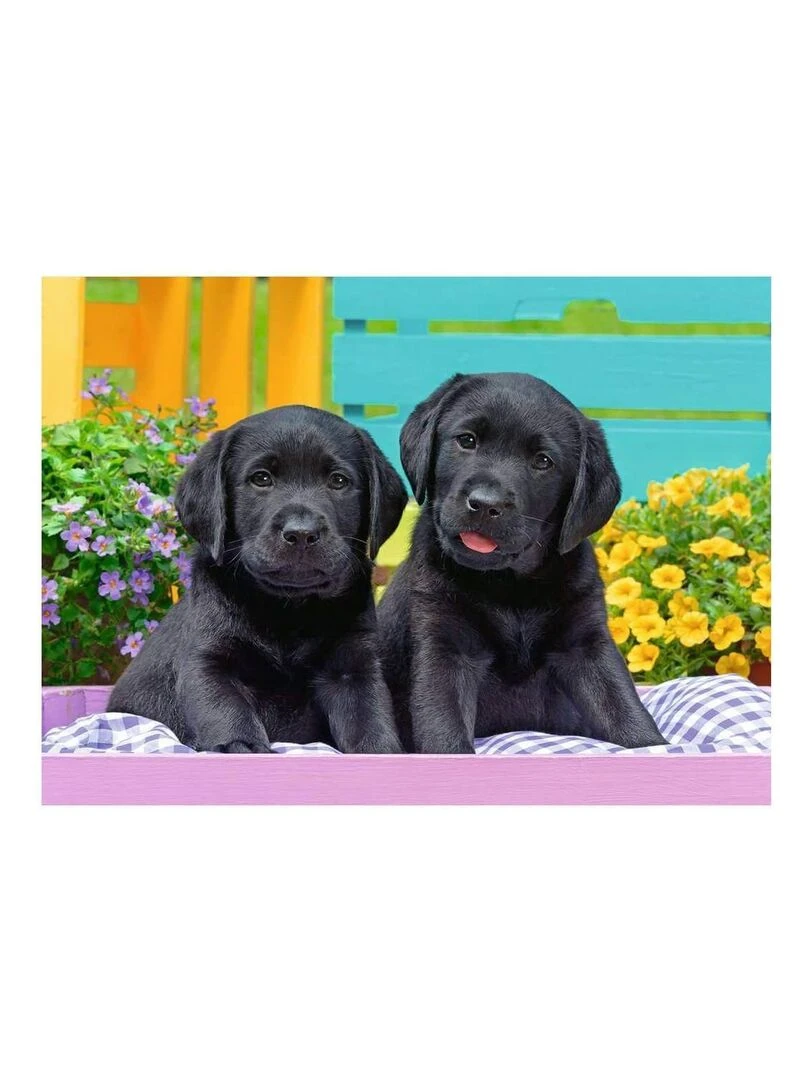 Puzzle 300 pièces XXL : Labradors N/A