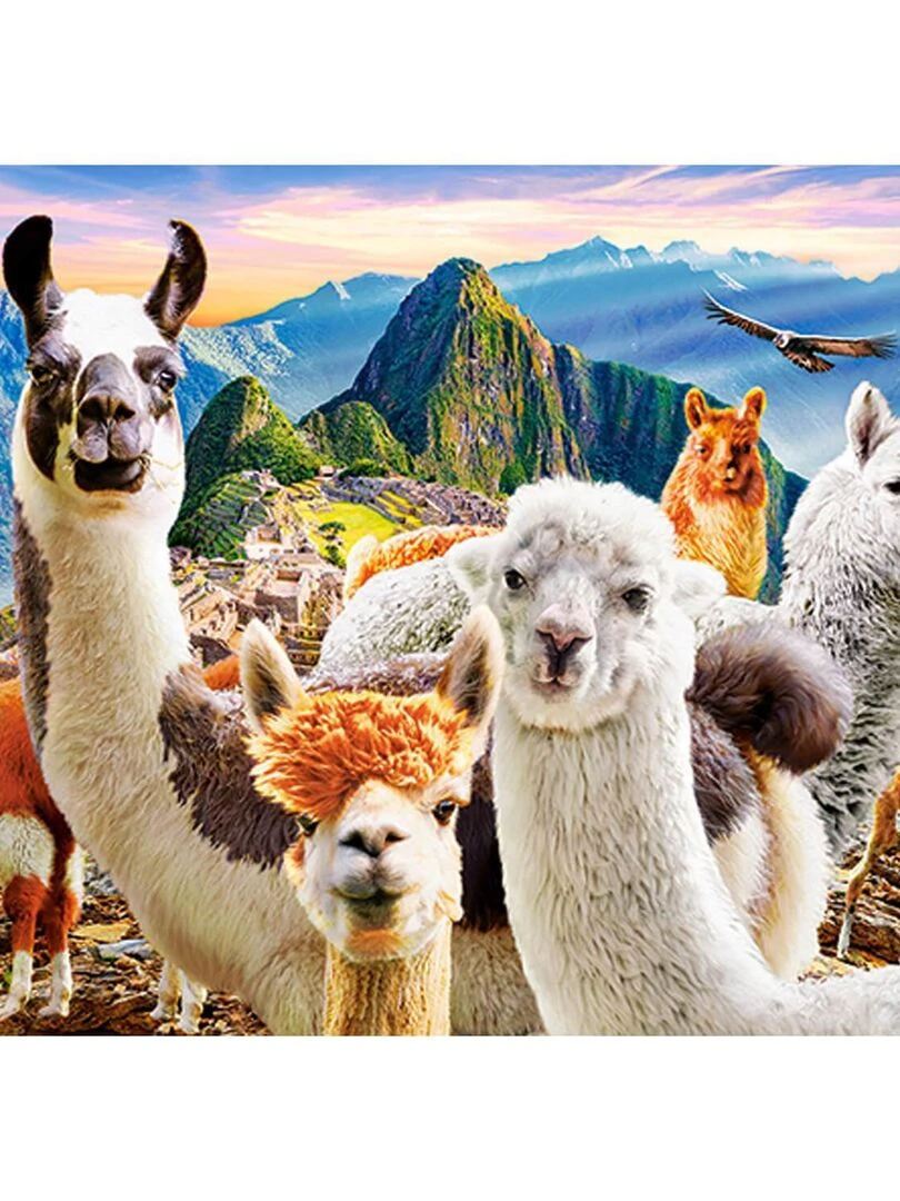 Puzzle 200 pièces : Lamas Selfie N/A