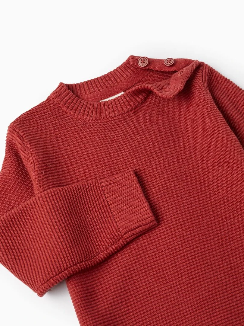 Pull en Maille pour Bébé Garçon  ATLANTIC COMPANY   Rouge