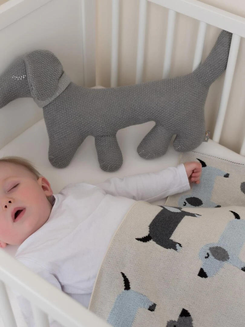 Couverture pour bébé   Teckel   Bleu