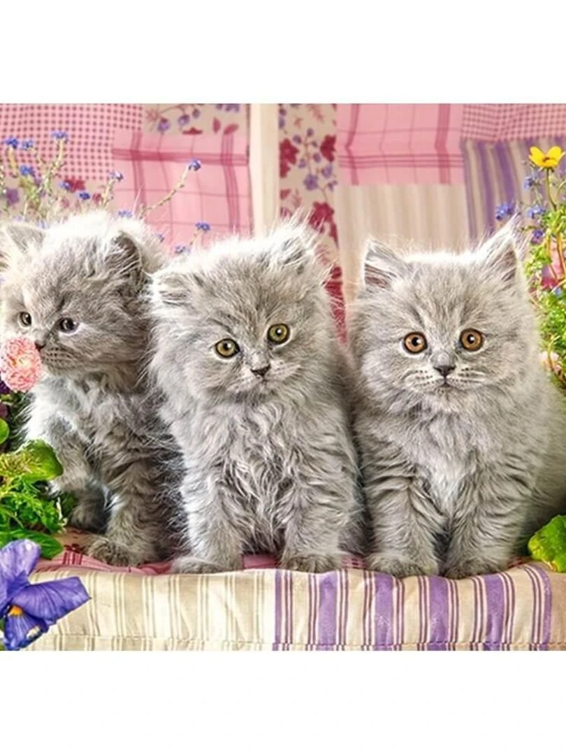 Puzzle 300 pièces : trois petits chatons gris N/A