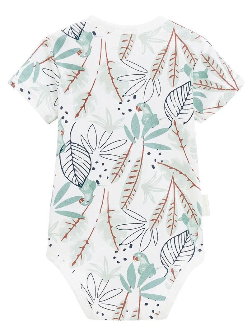 Lot de 2 bodies bébé manches courtes Belem   Bleu