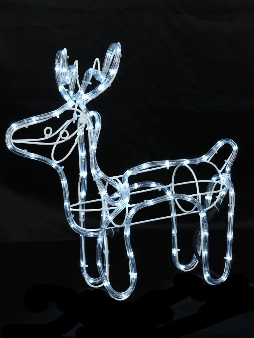 Rennes solaire à LED Blanc
