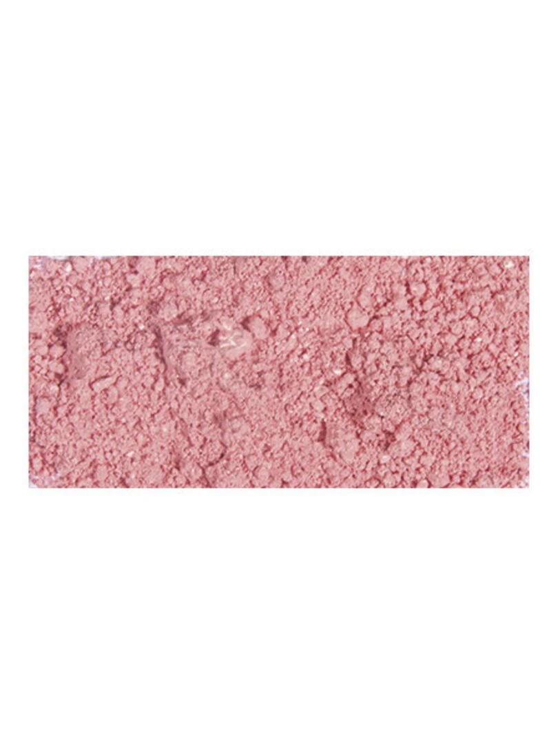 Poudre de moulage pour fabriquer sa craie 200 g rouge N/A