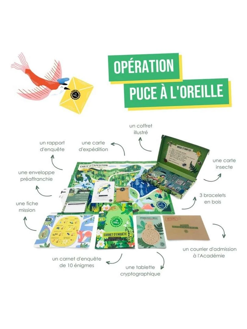 L'enquête par courrier : nature et insectes :enfant   N/A