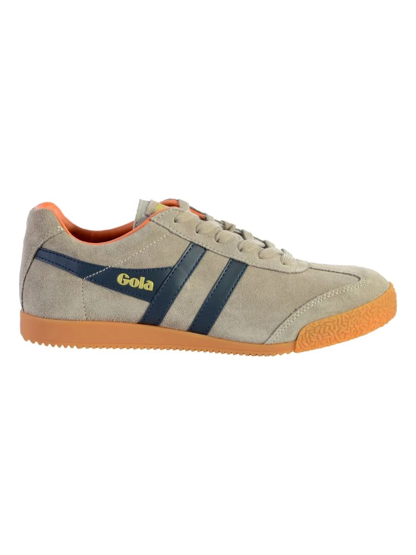 Basket Gola Harrier Suede Multicolore