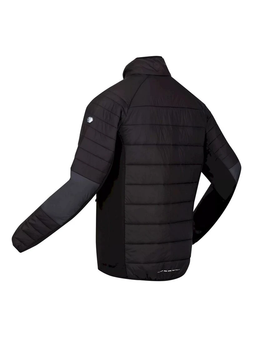 Regatta   Veste softshell HALTON   Gris foncé