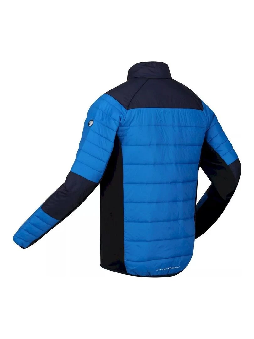 Regatta   Veste softshell HALTON   Bleu marine