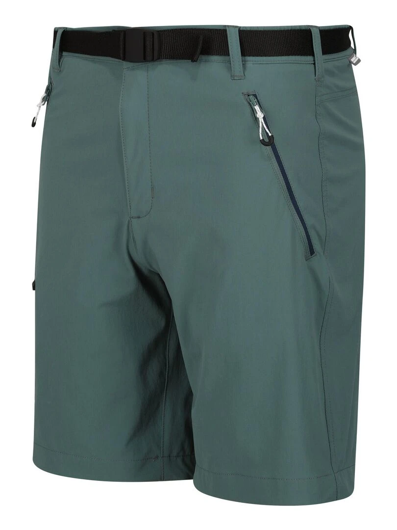 Regatta   Short XERT   Vert foncé