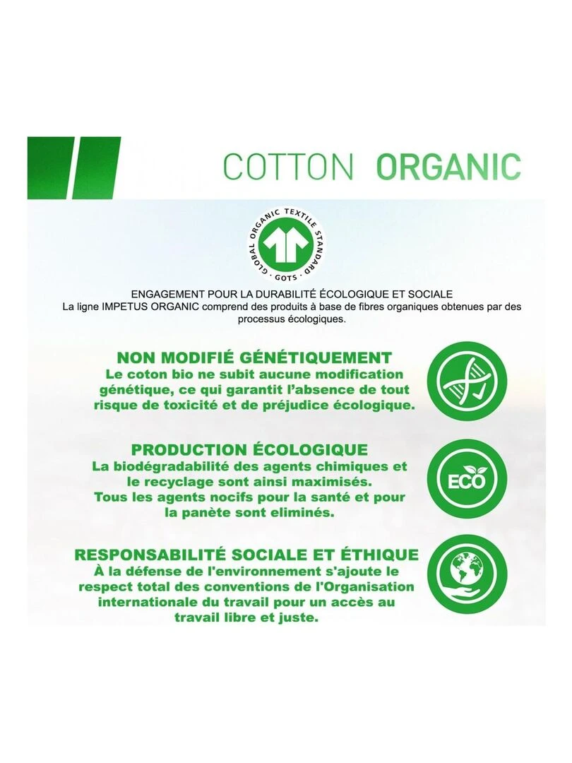 Slip bio organique Oeko Tex tout confort Cotton Organic   Gris