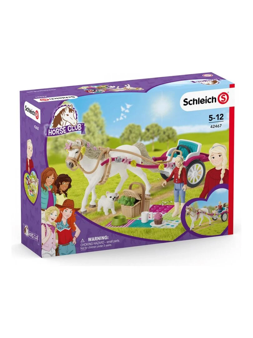 Calèche pour le spectacle équestre   N/A