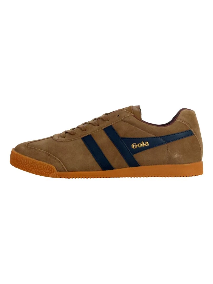 Basket Gola Harrier Suede Marron