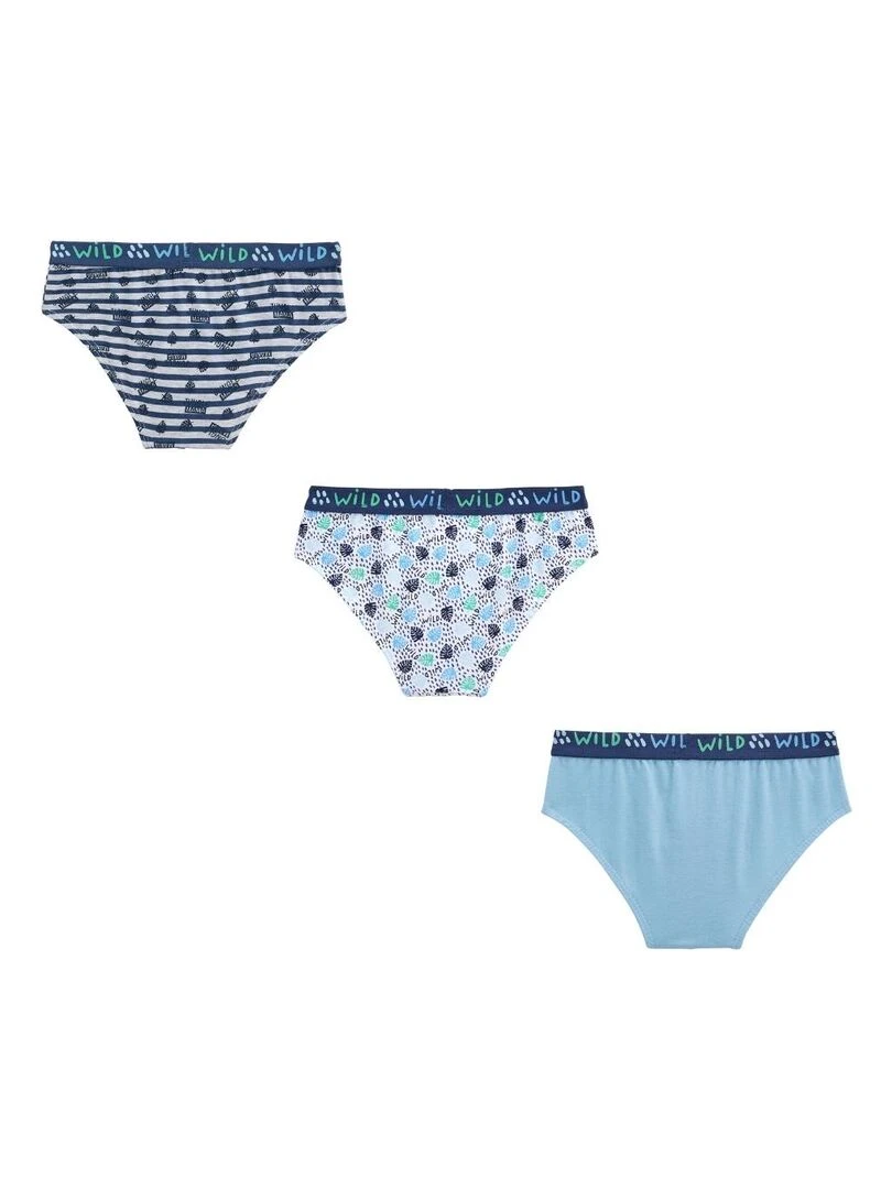 Lot de 3 slips garçon Tiago Bleu