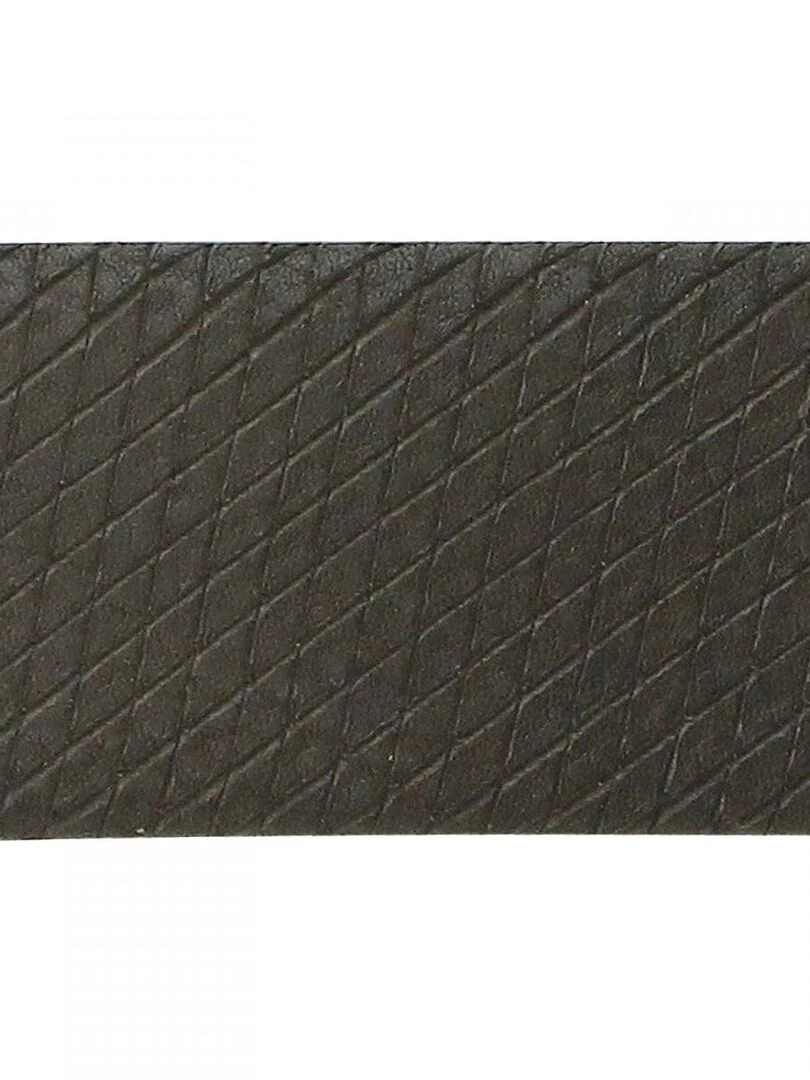 Ceinture en cuir SNAKE Marron