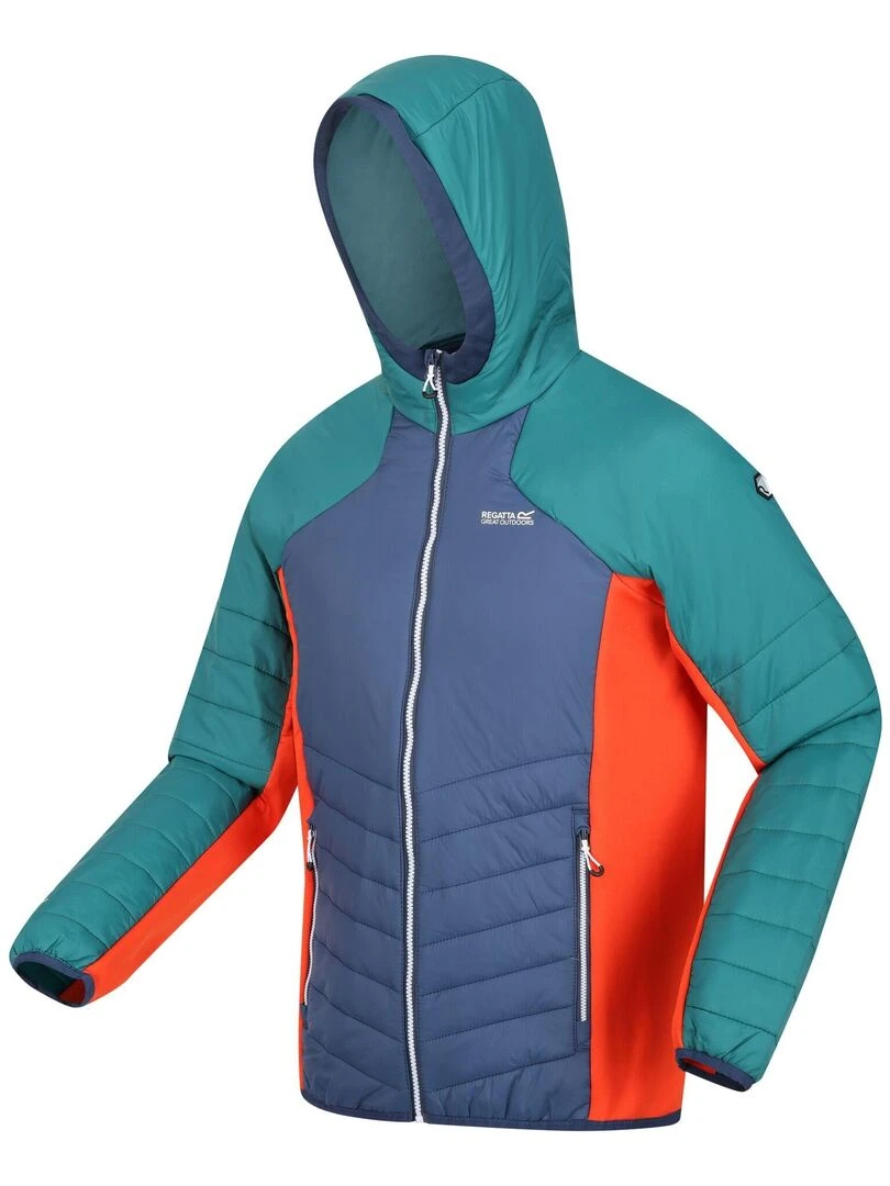 Regatta   Veste softshell TRUTTON   Bleu Rouge