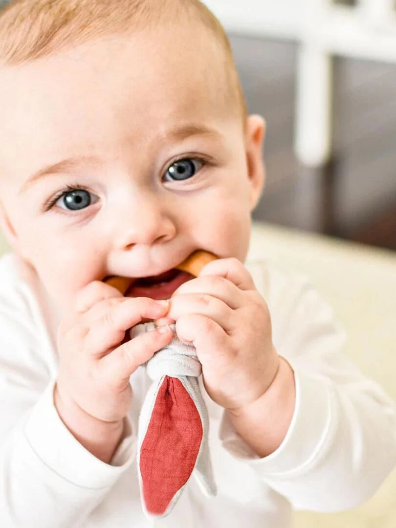 Anneau de Dentition en Coton Bio Fraise   Rouge