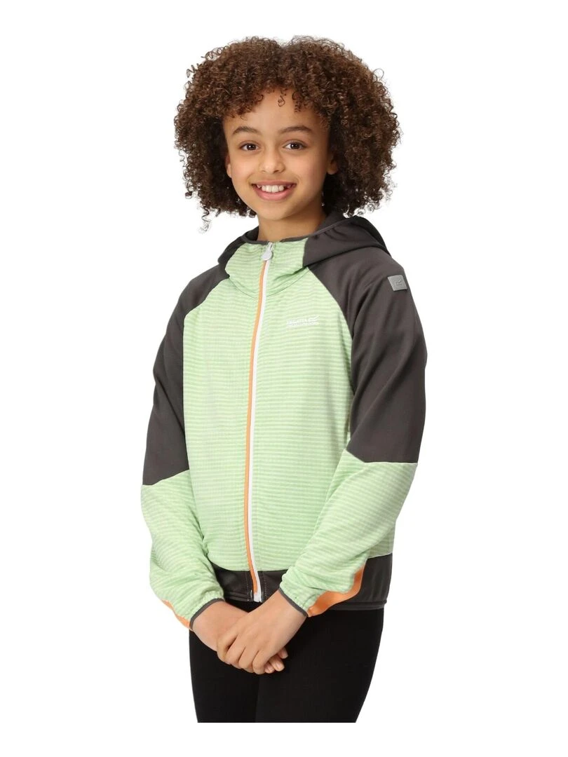 Regatta   Veste softshell PRENTON   Vert sapin