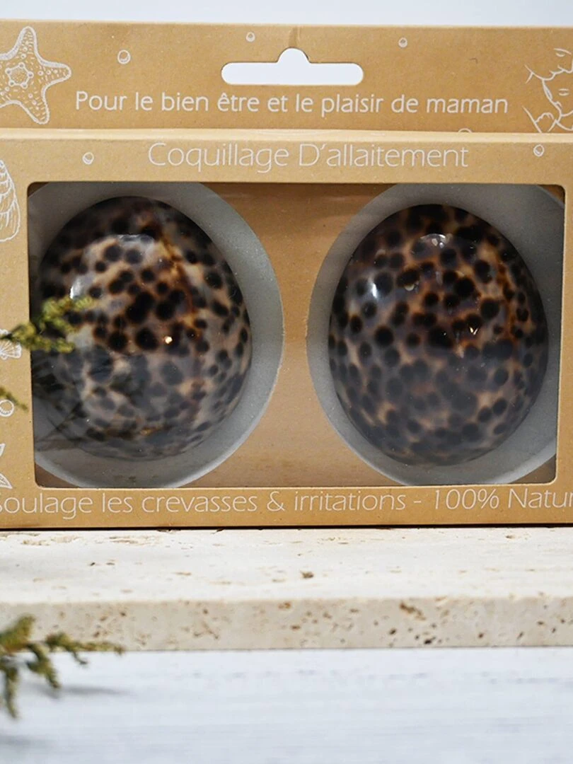 Coquillage d'allaitement mammaire Brillant Marron