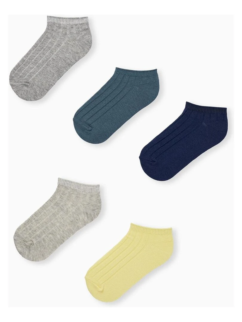 Lot 5 Paires de Socquettes Côtelées pour Garçon SICILIAN DAYS Multicolore