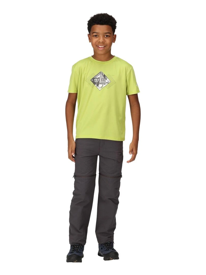 Regatta   T shirt ALVARADO   Vert