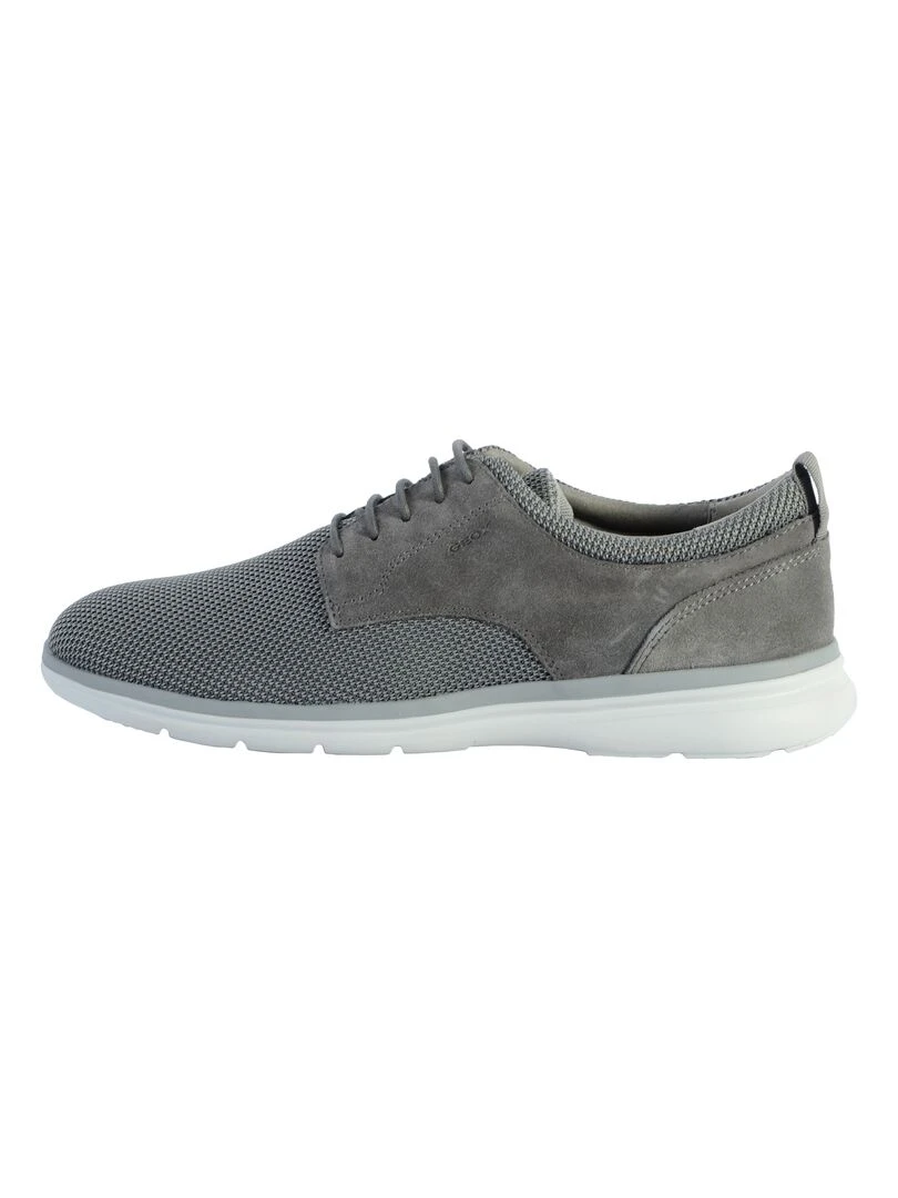 Basket Cuir Geox Sirmione Gris
