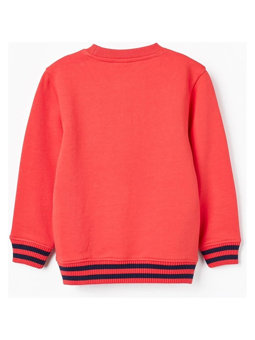 Sweat en coton avec motif en relief pour garçon FLYING BIRDS Rose