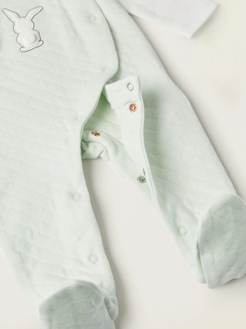Grenouillère En Coton Pour Nouveau Né 'Lapins' manches longues EARLY BLOOM   Bleu clair