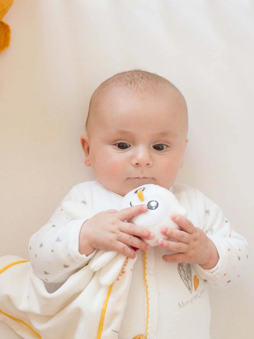 Doudou chouette bébé Kinousses N/A