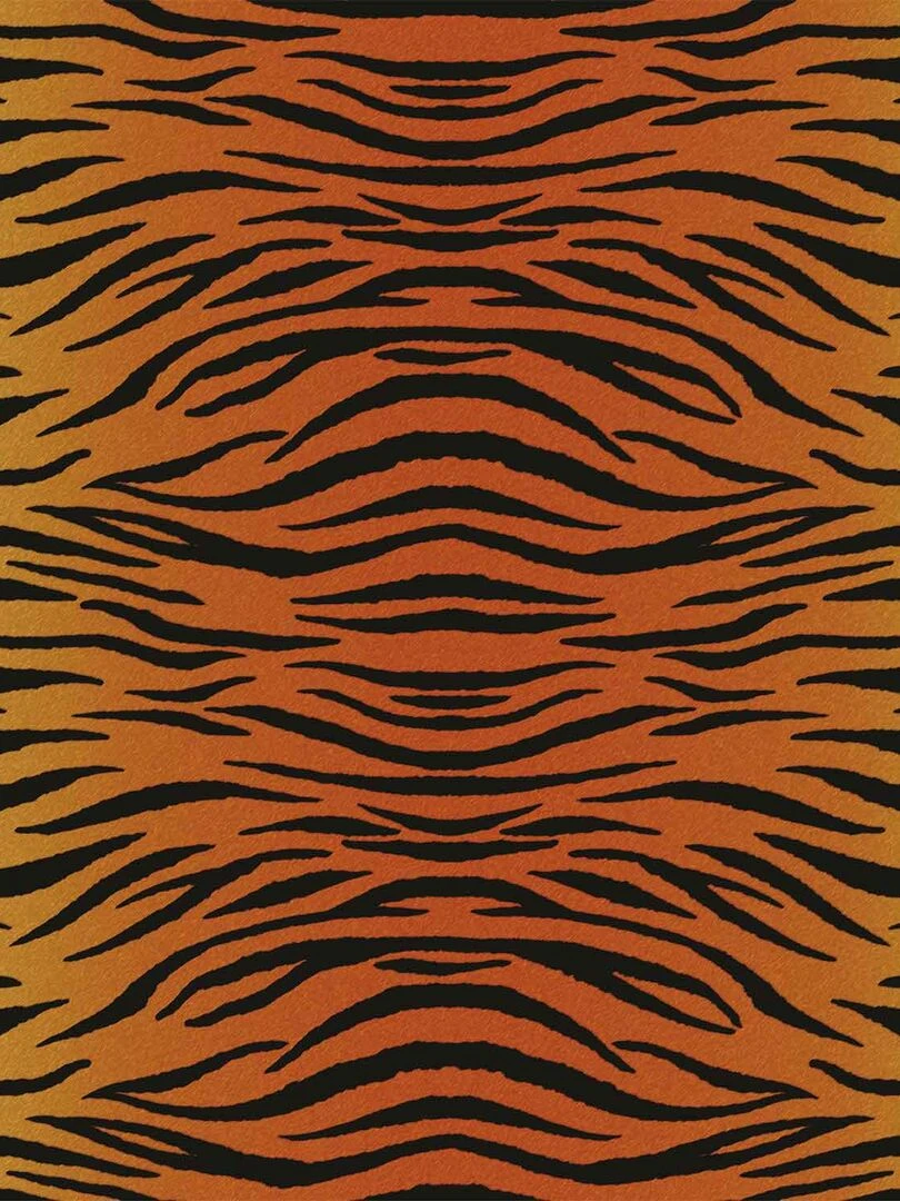 8 Feuilles de transfert   Animal   Cricut   N/A