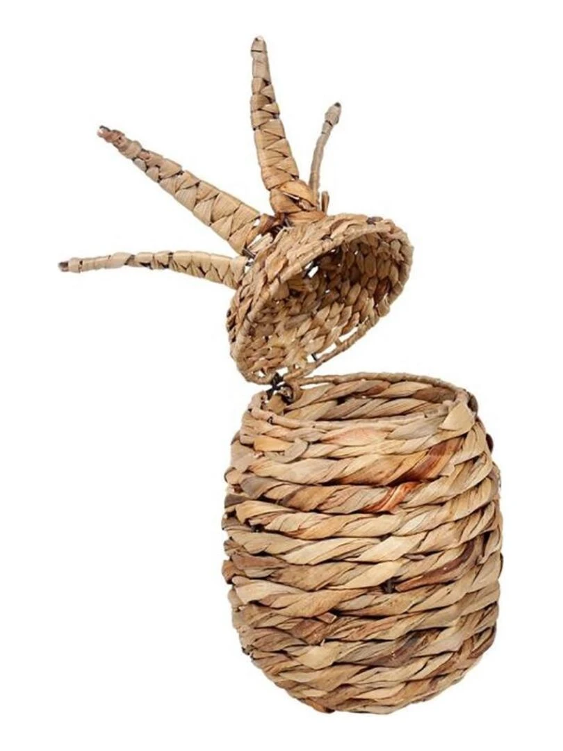 Boite ananas paille naturelle Beige