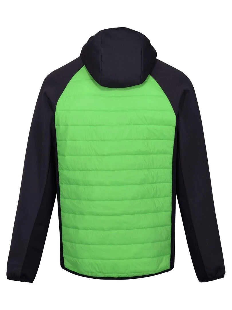 Regatta Veste hybride ANDRESON Vert clair