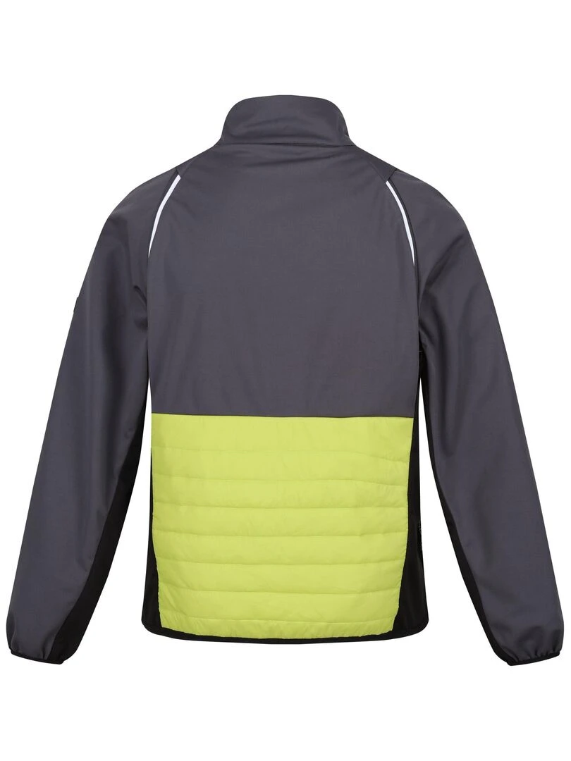 Regatta Veste softshell STEREN HYBRID Gris Vert Gris
