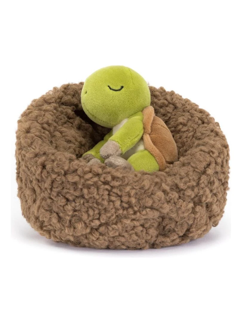 Hibernating Tortoise   Multicolore