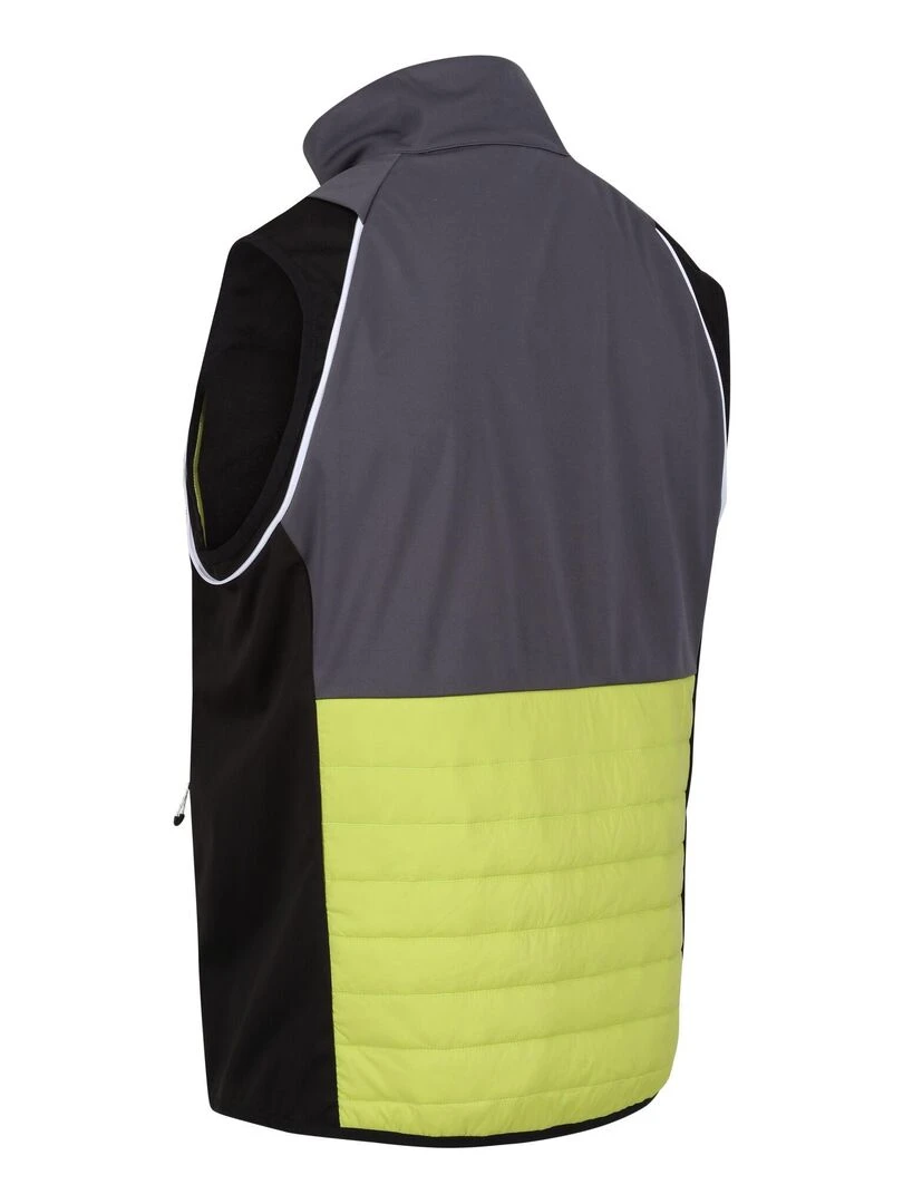 Regatta   Veste softshell STEREN HYBRID   Gris Vert Gris