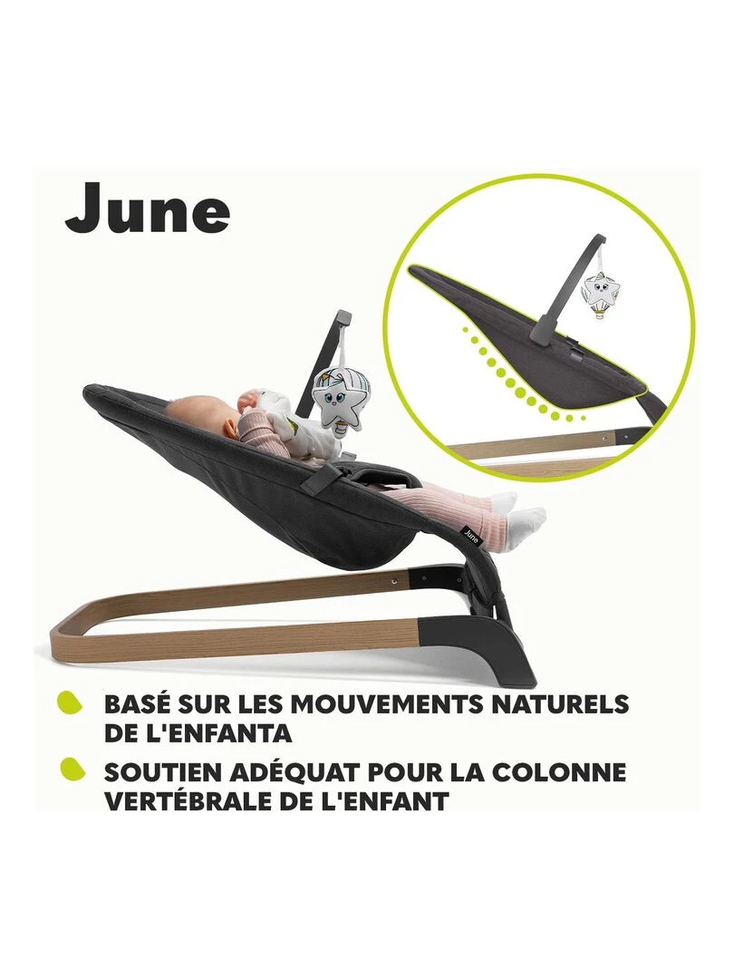 LIONELO June Transat bébé Mouvement de balancement naturel Léger et stable gris anthracite