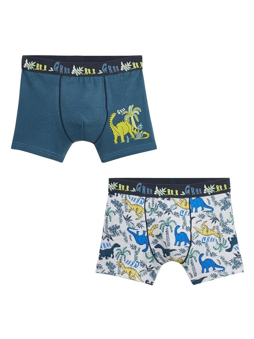 Lot de 2 boxers garçon Brontonsaure Multicolore