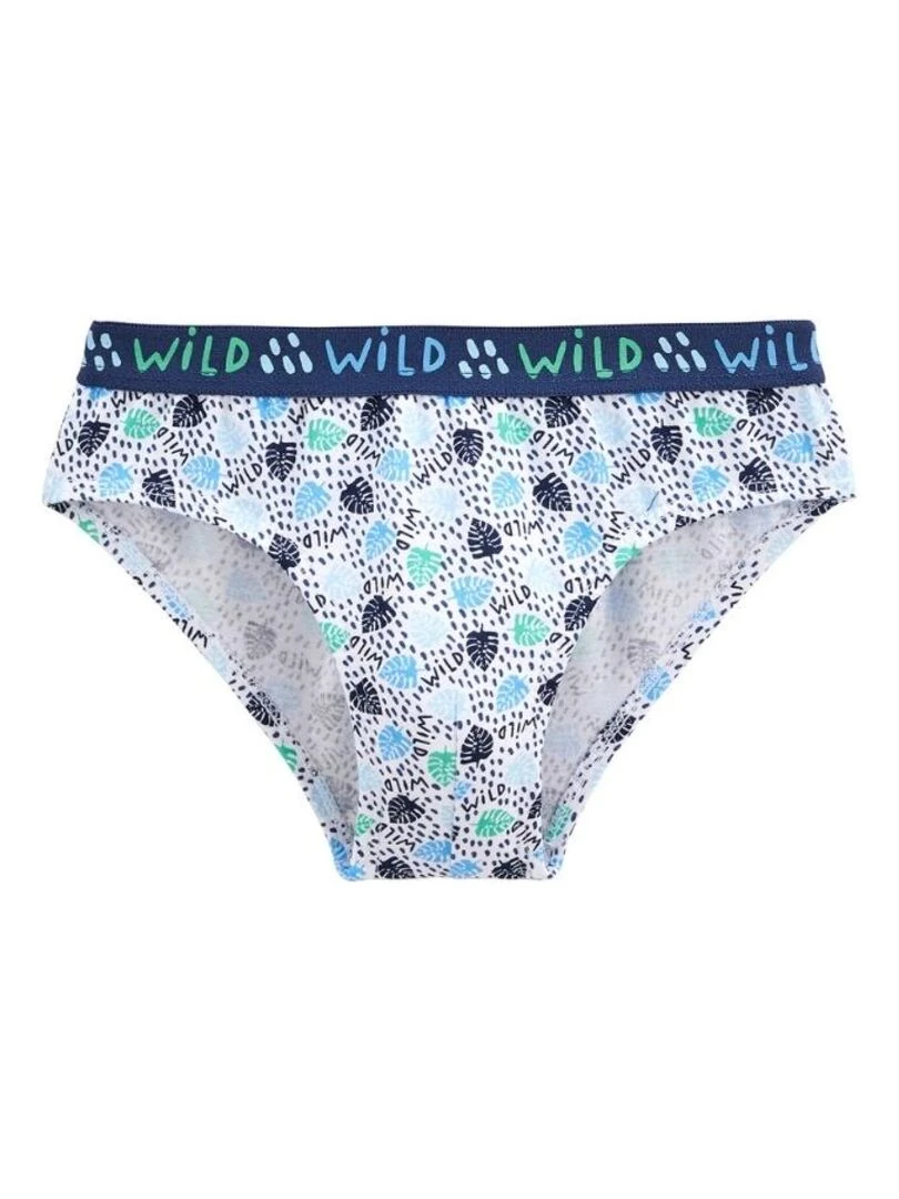 Lot de 3 slips garçon Tiago   Bleu