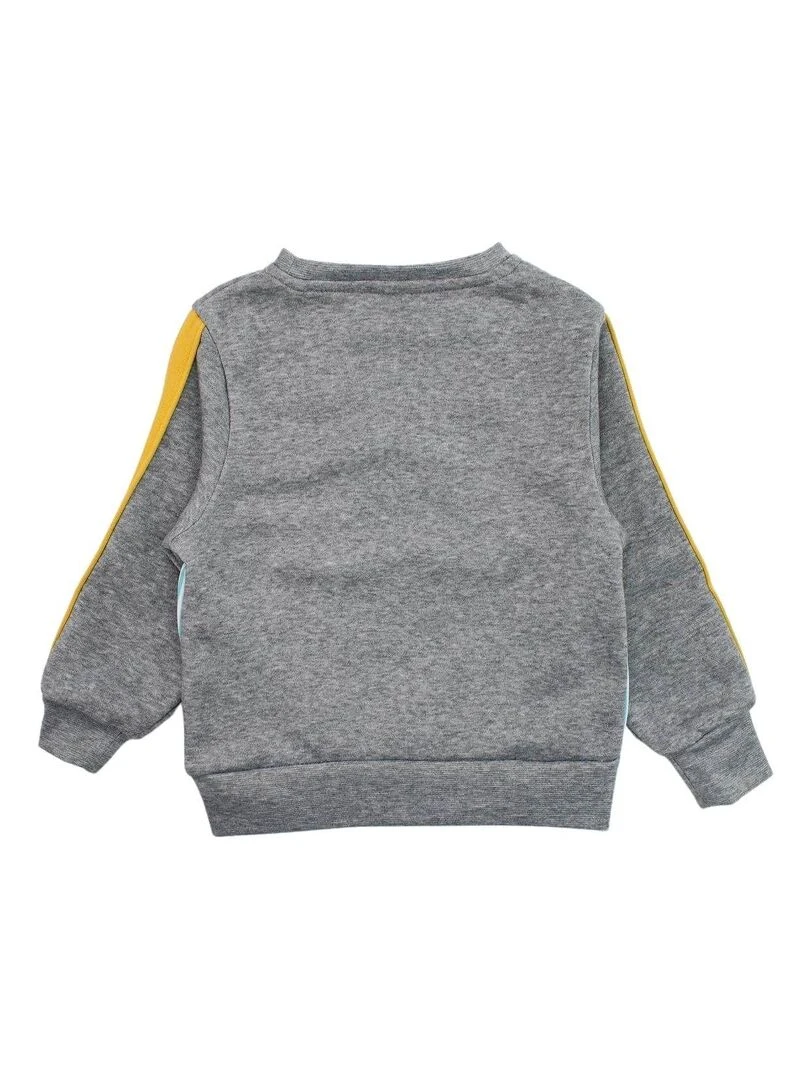 Disney Sweat garçon imprimé Le Roi Lion Gris