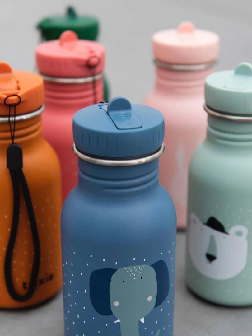 Gourde Renard   350 Ml   Orange